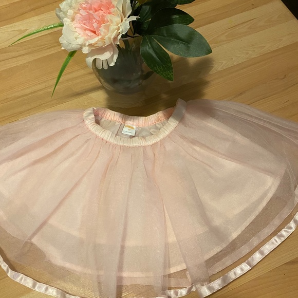 Gymboree Girls Tutu Skirt 4T - Picture 1 of 3